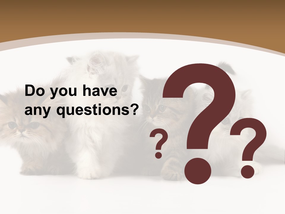 Furry Spotty Cat PowerPoint Template