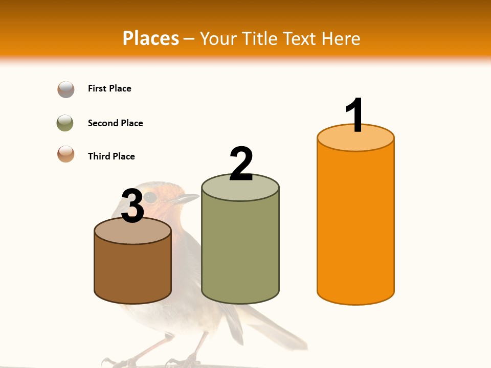 Robin On Branch PowerPoint Template