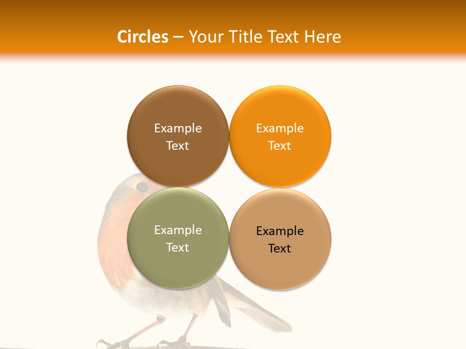 Robin On Branch PowerPoint Template