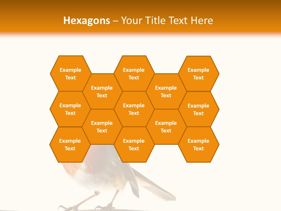Robin On Branch PowerPoint Template