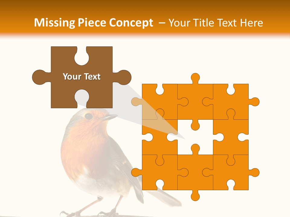Robin On Branch PowerPoint Template