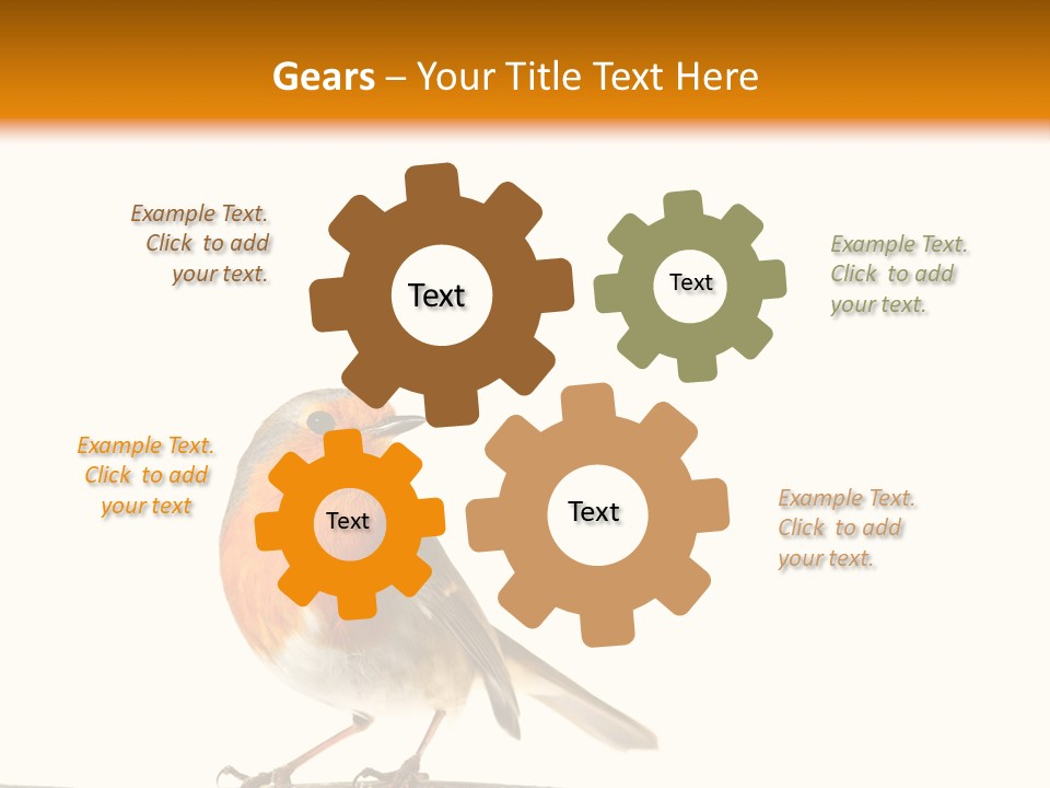 Robin On Branch PowerPoint Template