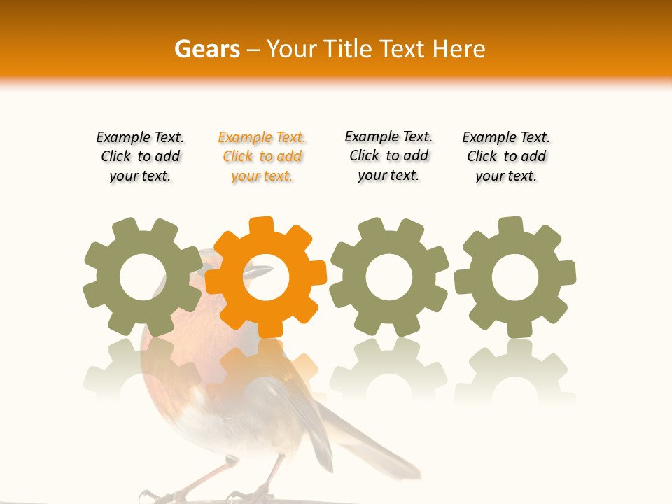 Robin On Branch PowerPoint Template