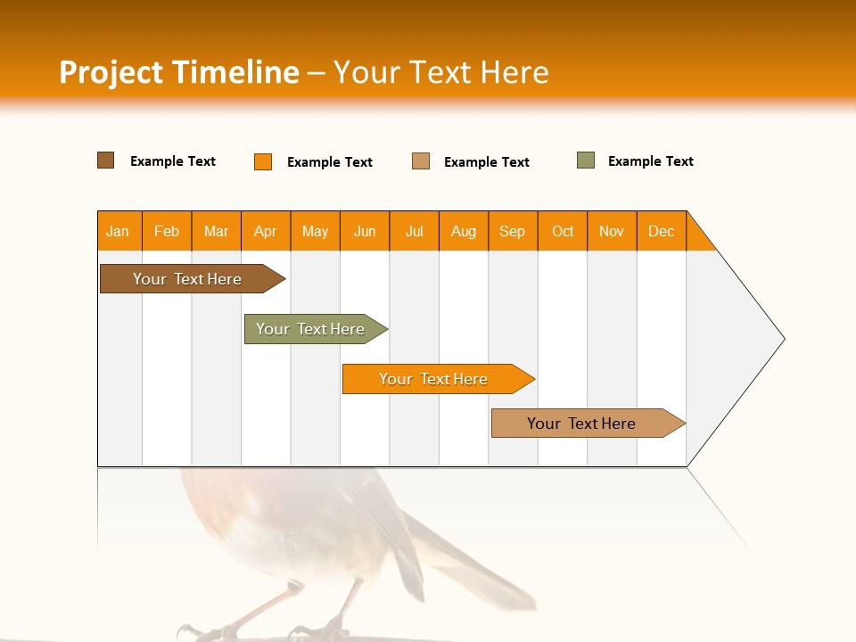 Robin On Branch PowerPoint Template