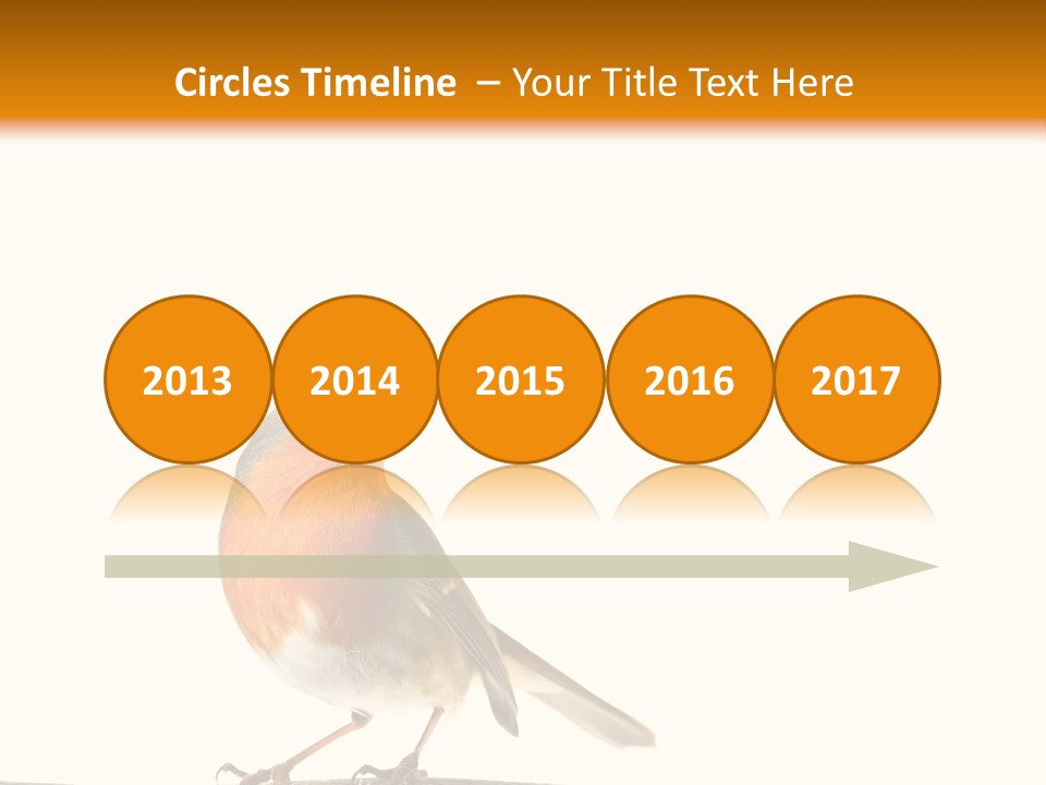 Robin On Branch PowerPoint Template