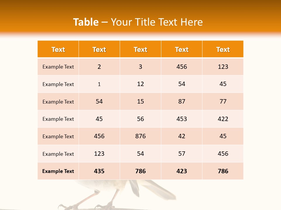 Robin On Branch PowerPoint Template