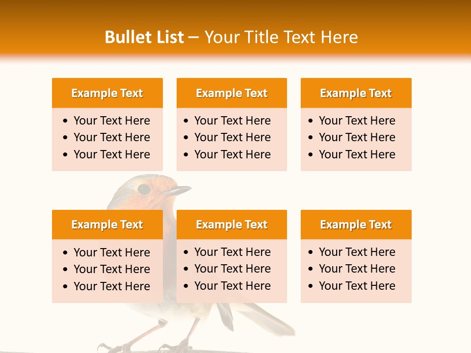 Robin On Branch PowerPoint Template