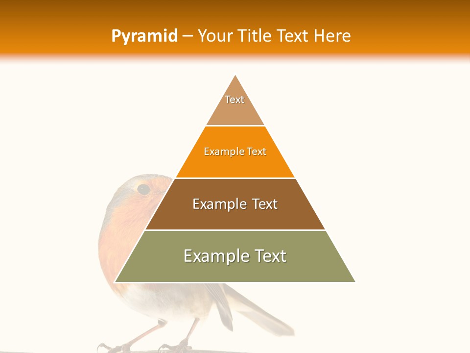 Robin On Branch PowerPoint Template