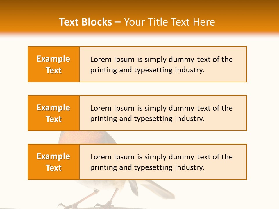 Robin On Branch PowerPoint Template