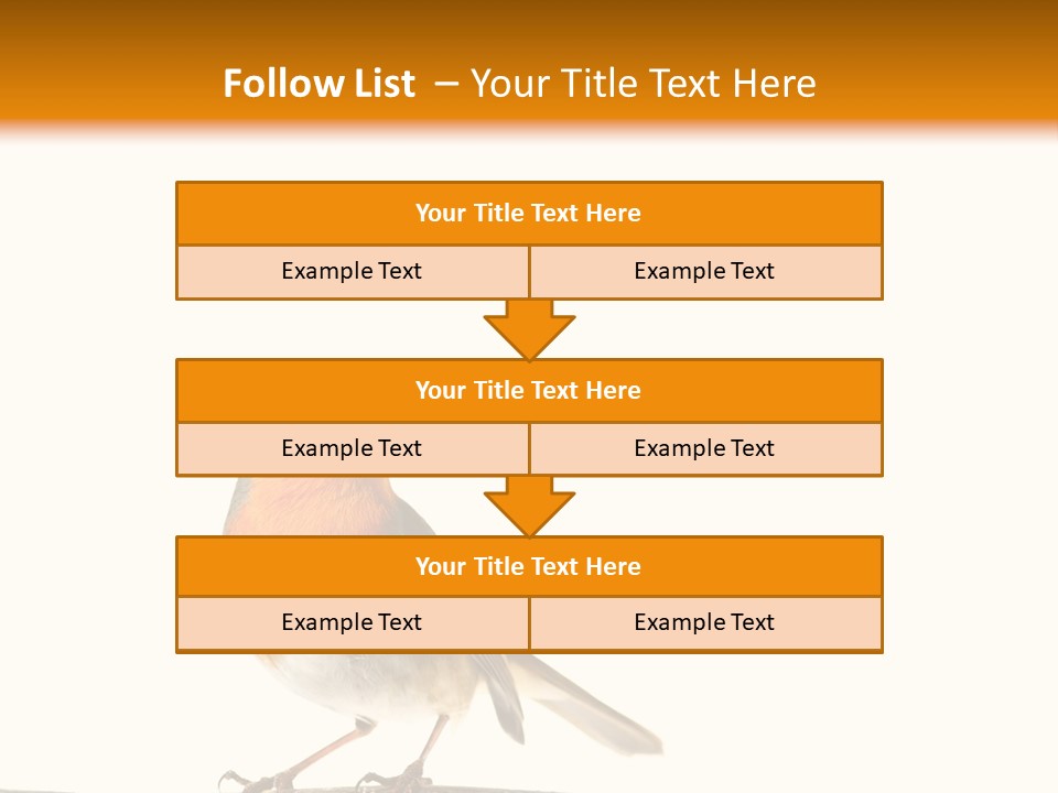 Robin On Branch PowerPoint Template