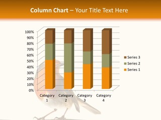 Robin On Branch PowerPoint Template