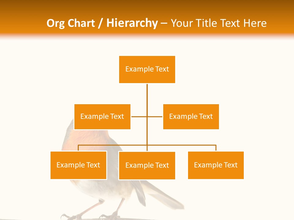 Robin On Branch PowerPoint Template