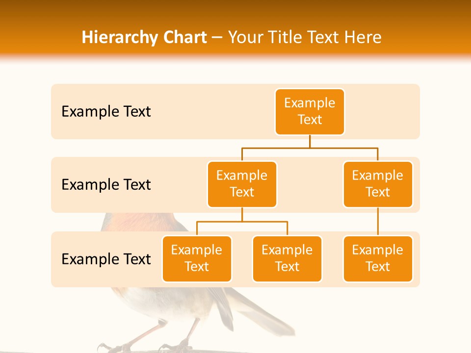 Robin On Branch PowerPoint Template