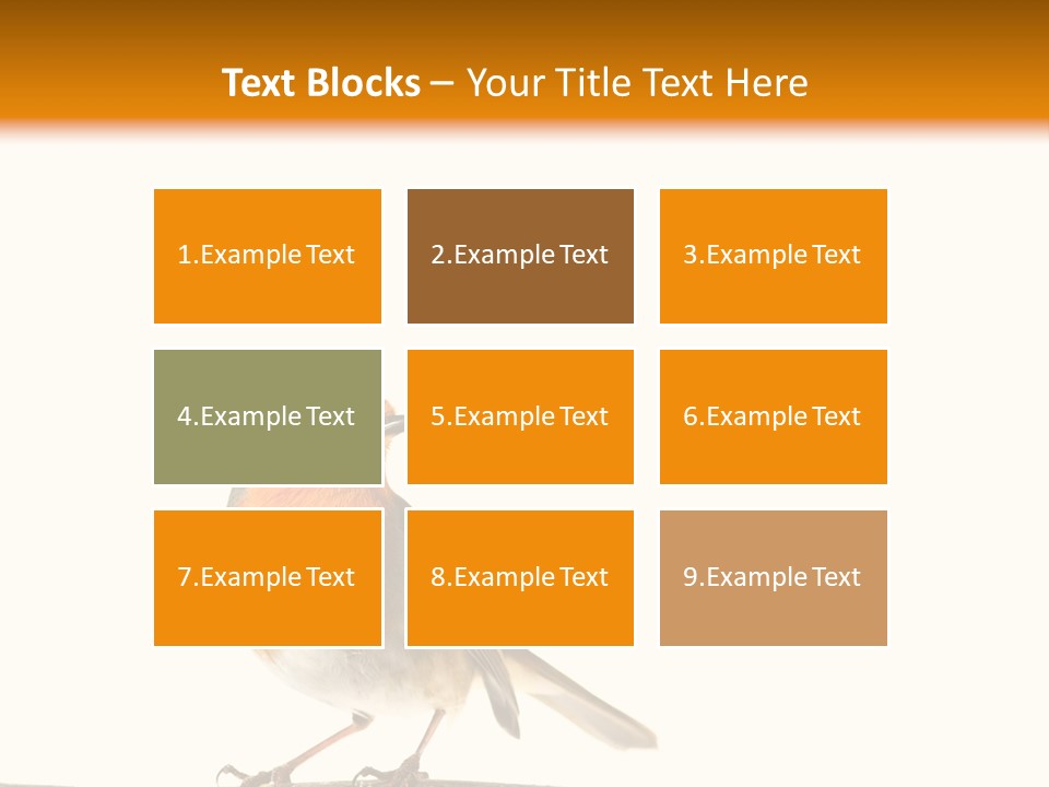 Robin On Branch PowerPoint Template