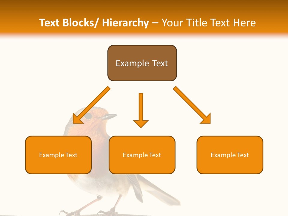 Robin On Branch PowerPoint Template