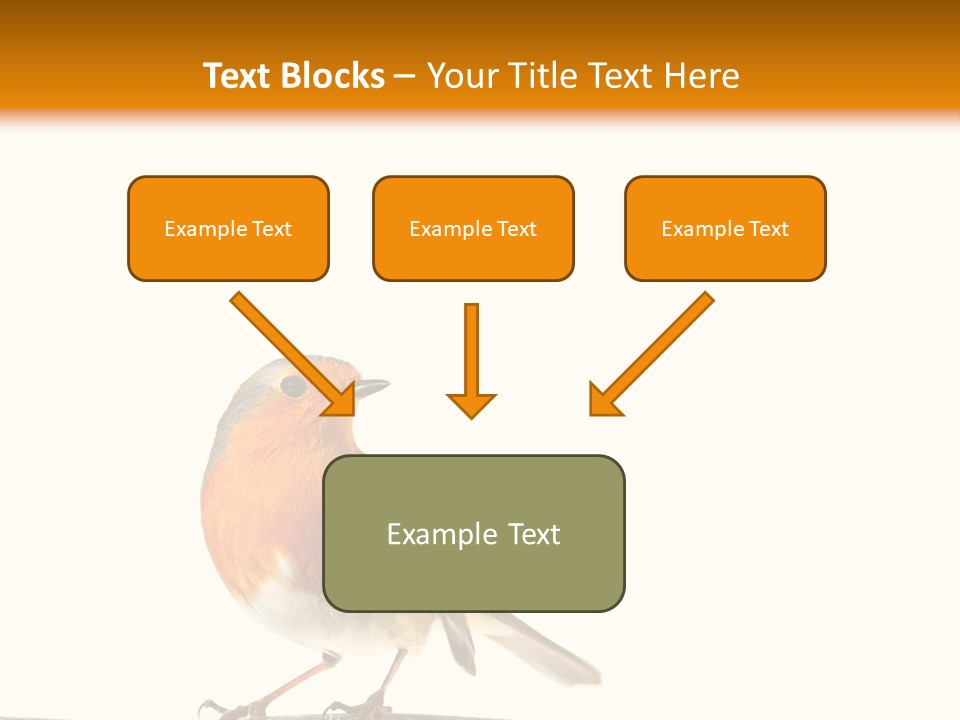 Robin On Branch PowerPoint Template