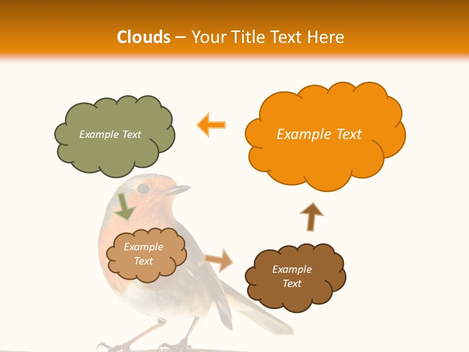 Robin On Branch PowerPoint Template