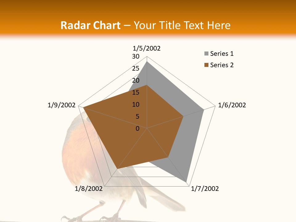 Robin On Branch PowerPoint Template
