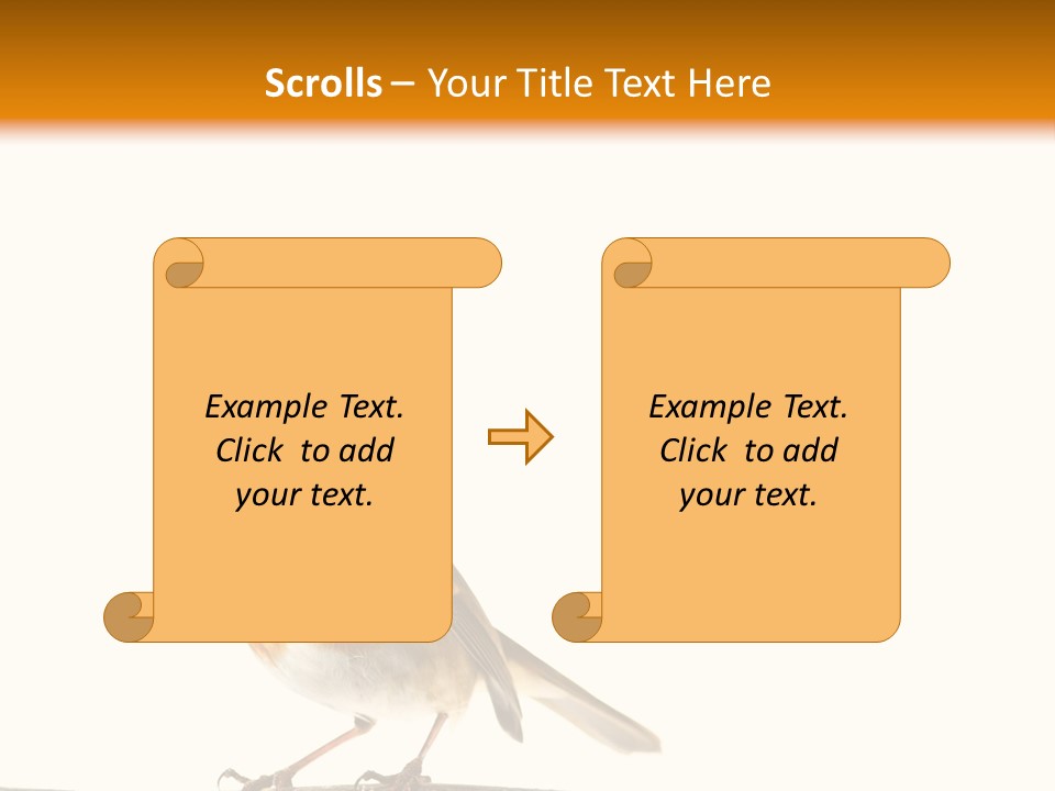 Robin On Branch PowerPoint Template