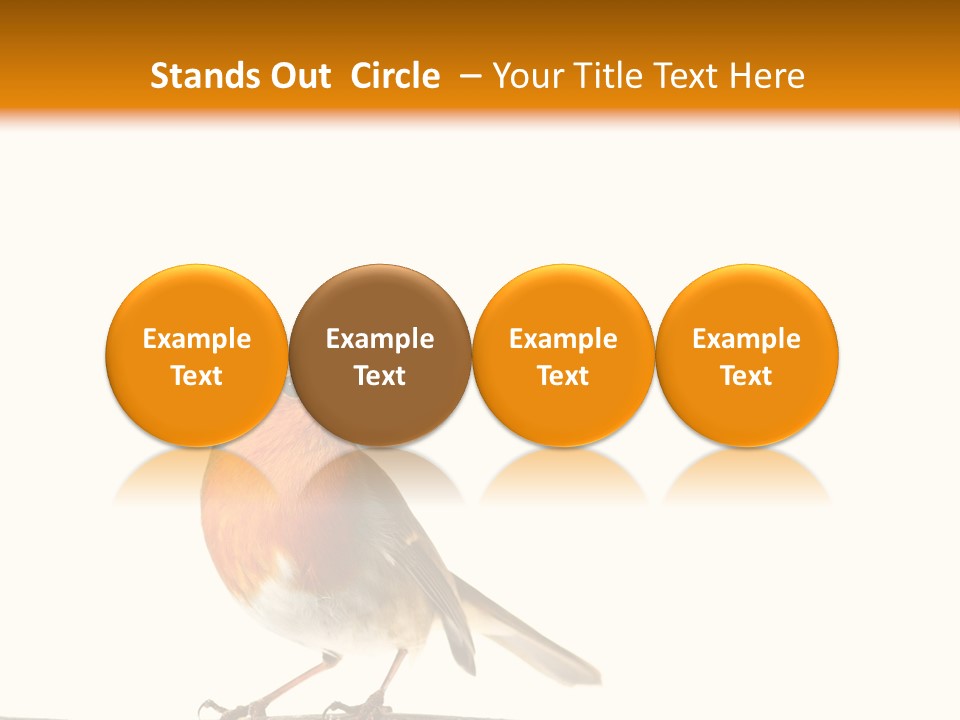 Robin On Branch PowerPoint Template