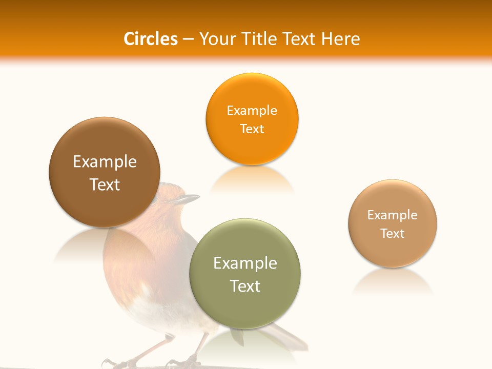 Robin On Branch PowerPoint Template