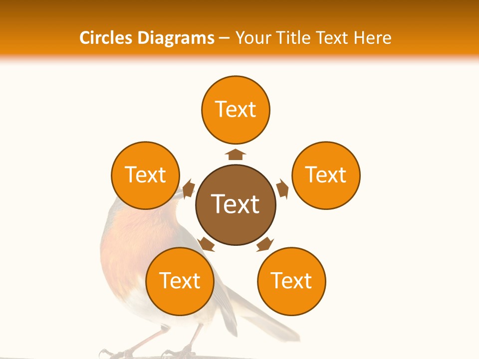 Robin On Branch PowerPoint Template