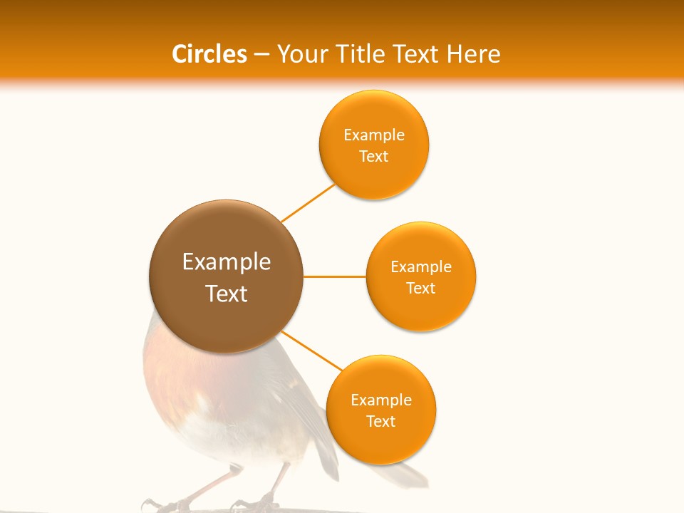 Robin On Branch PowerPoint Template