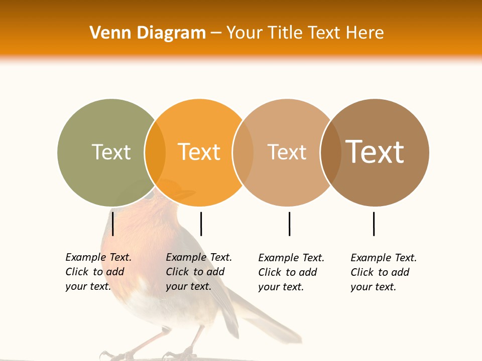 Robin On Branch PowerPoint Template