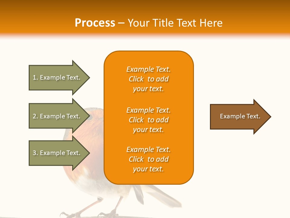Robin On Branch PowerPoint Template