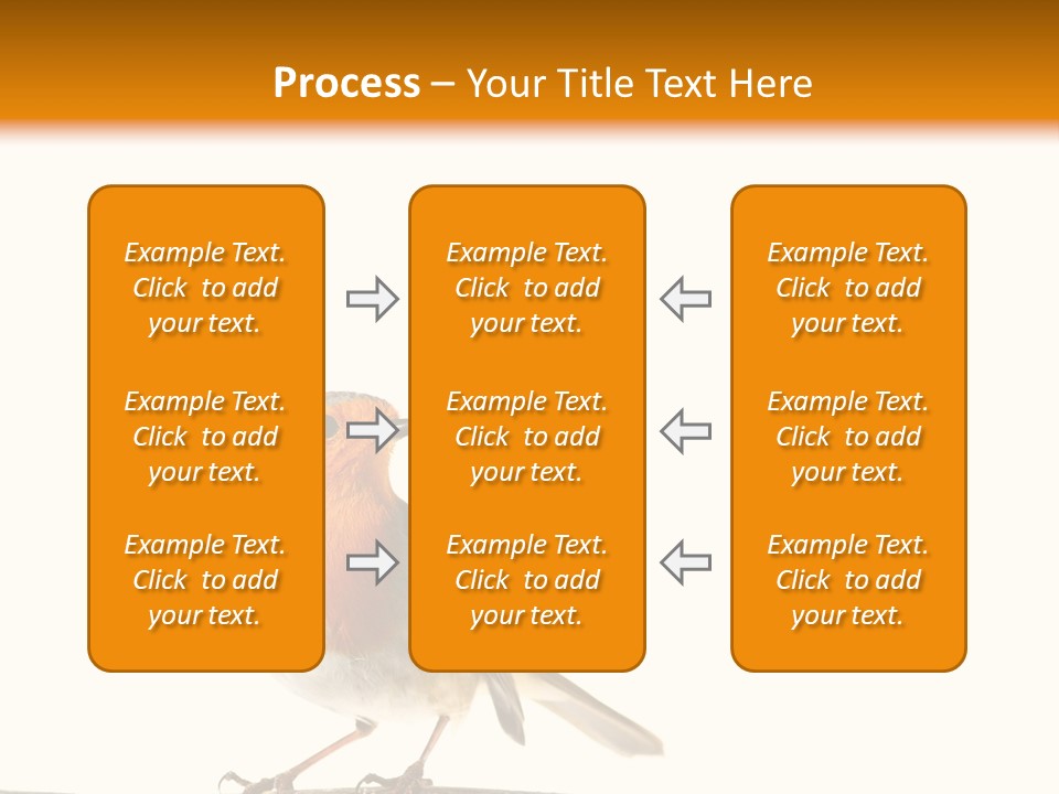 Robin On Branch PowerPoint Template