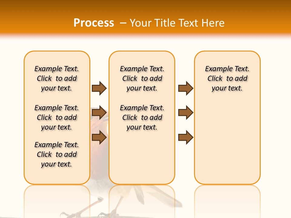 Robin On Branch PowerPoint Template