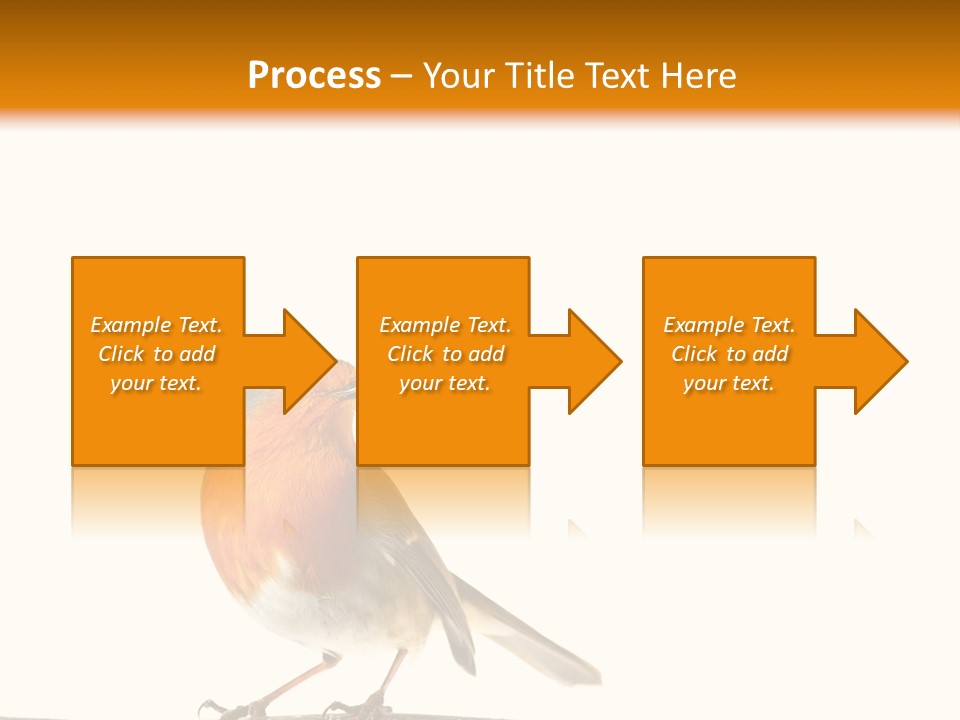 Robin On Branch PowerPoint Template