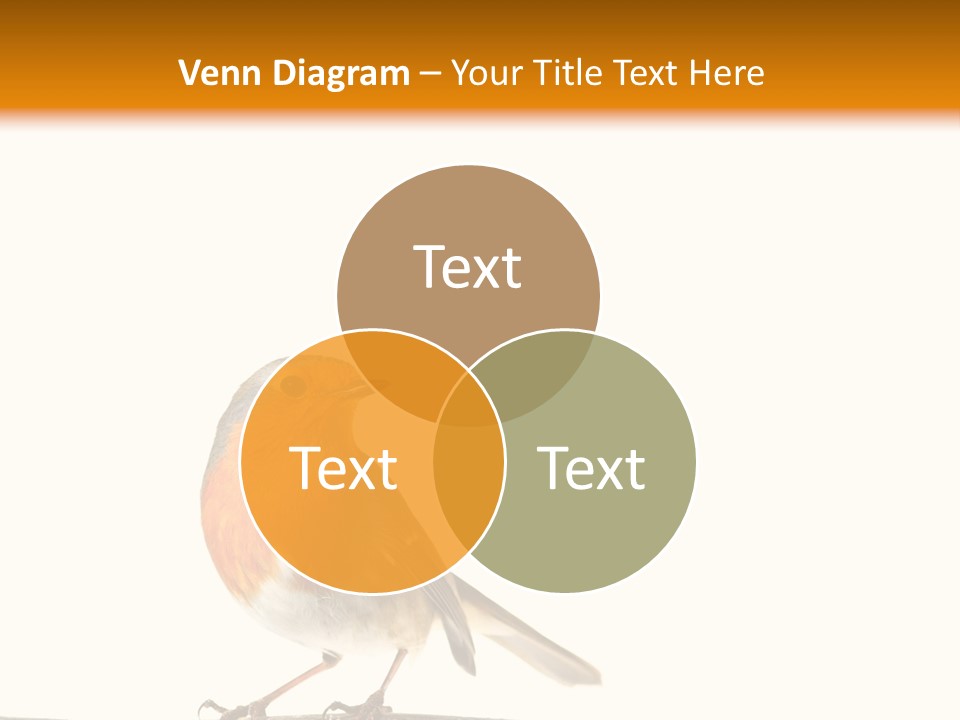 Robin On Branch PowerPoint Template