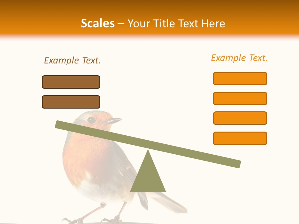 Robin On Branch PowerPoint Template