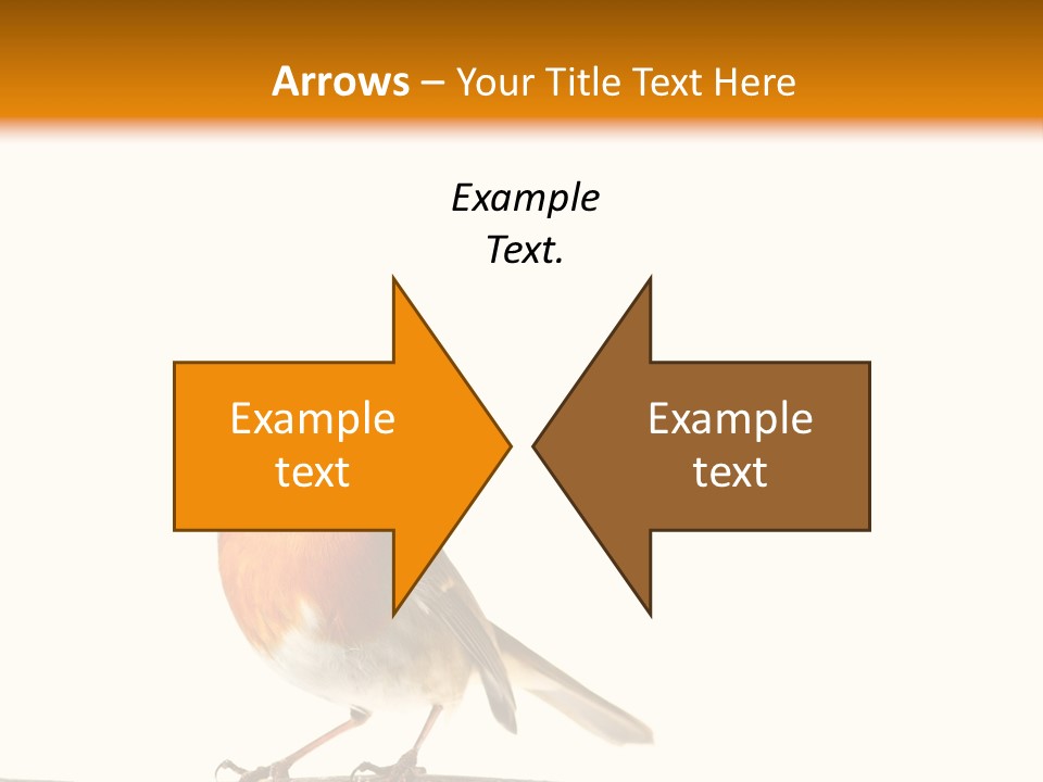 Robin On Branch PowerPoint Template