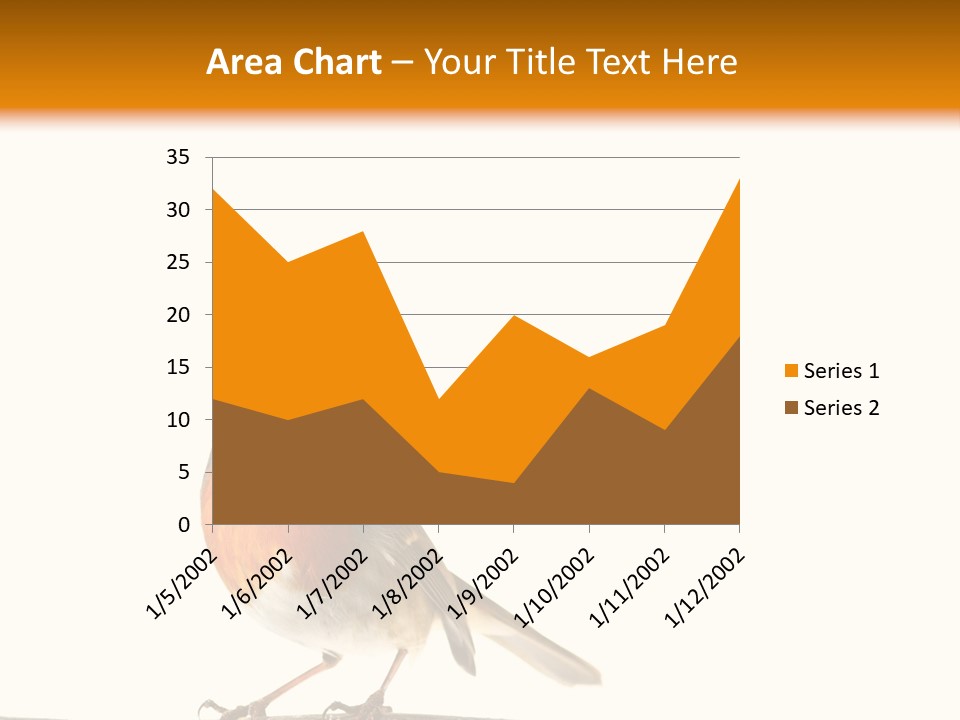 Robin On Branch PowerPoint Template