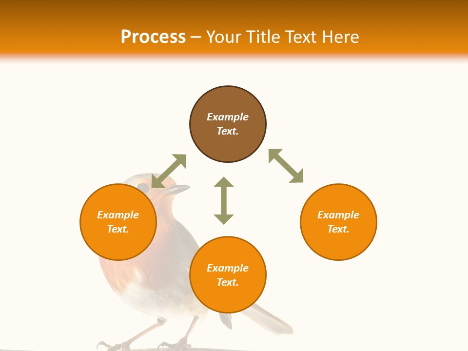 Robin On Branch PowerPoint Template