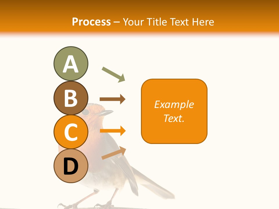 Robin On Branch PowerPoint Template