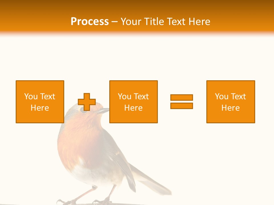 Robin On Branch PowerPoint Template