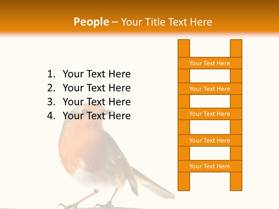Robin On Branch PowerPoint Template