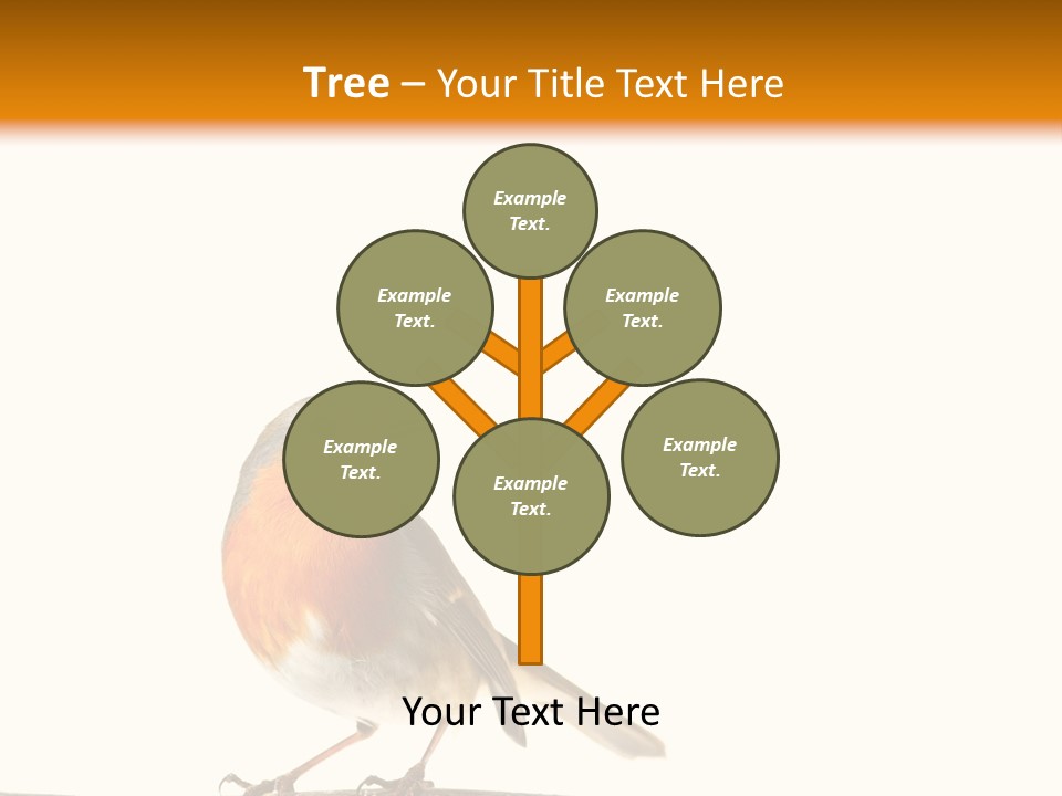 Robin On Branch PowerPoint Template