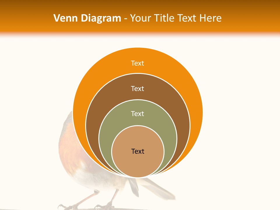Robin On Branch PowerPoint Template