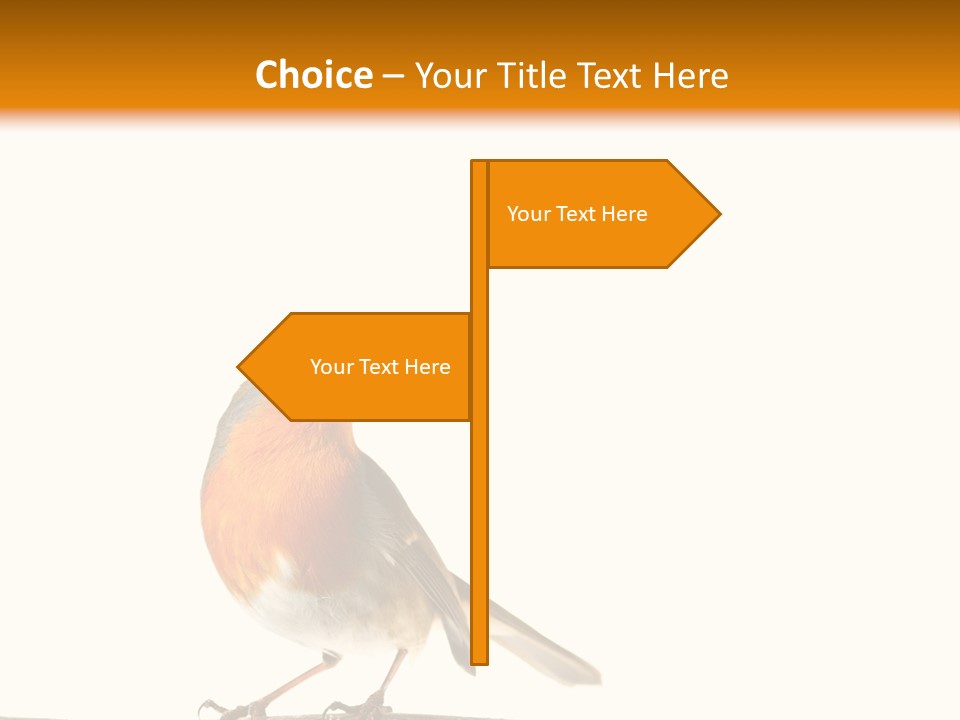 Robin On Branch PowerPoint Template
