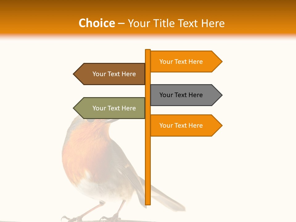 Robin On Branch PowerPoint Template