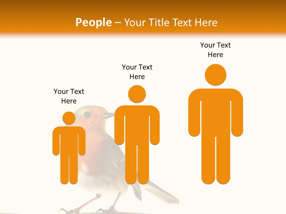 Robin On Branch PowerPoint Template