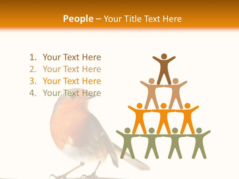 Robin On Branch PowerPoint Template