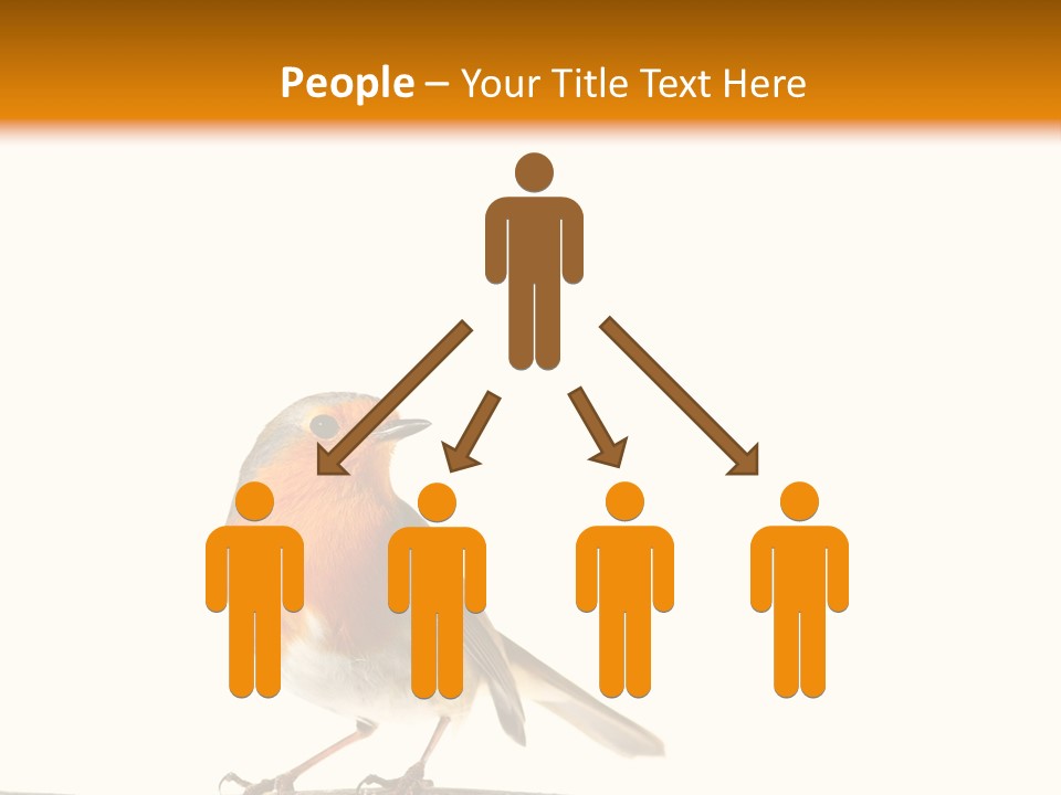 Robin On Branch PowerPoint Template