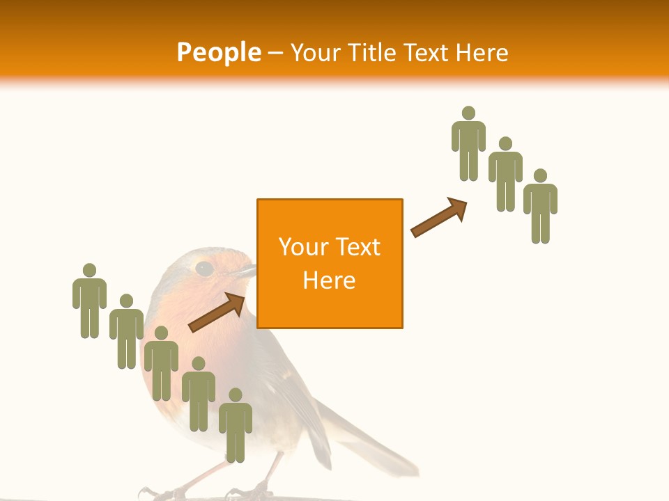 Robin On Branch PowerPoint Template