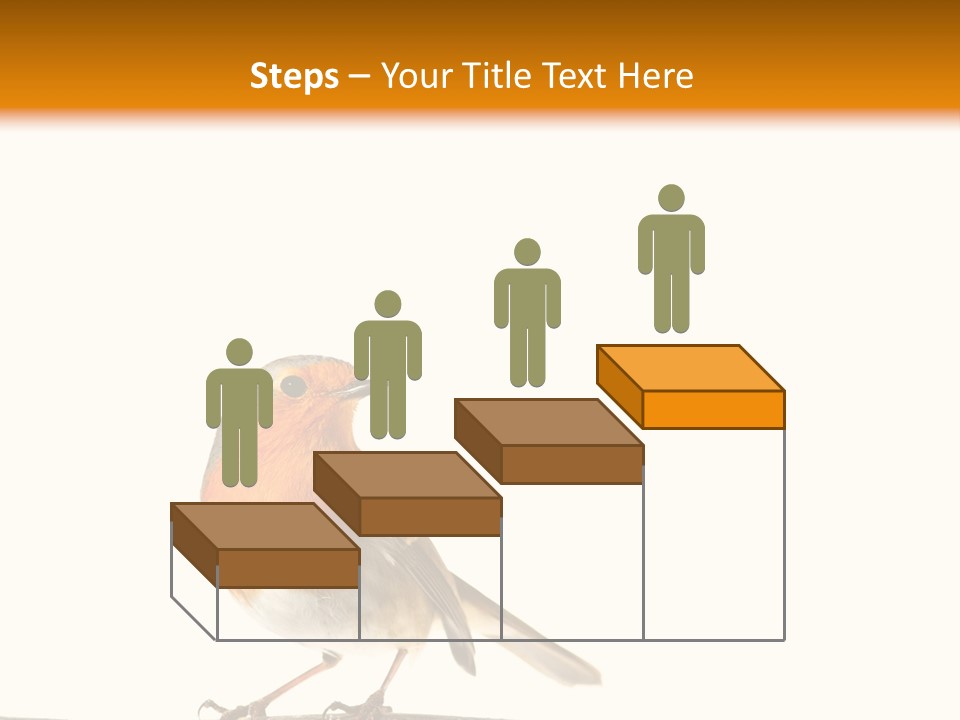 Robin On Branch PowerPoint Template