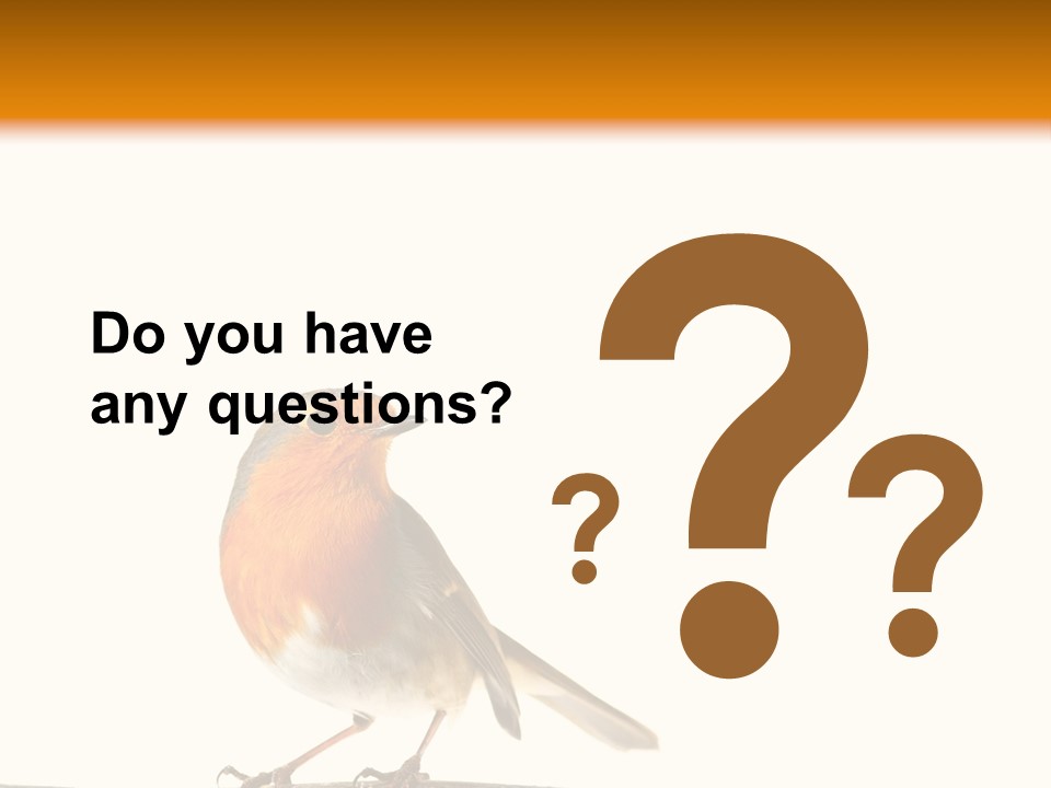 Robin On Branch PowerPoint Template